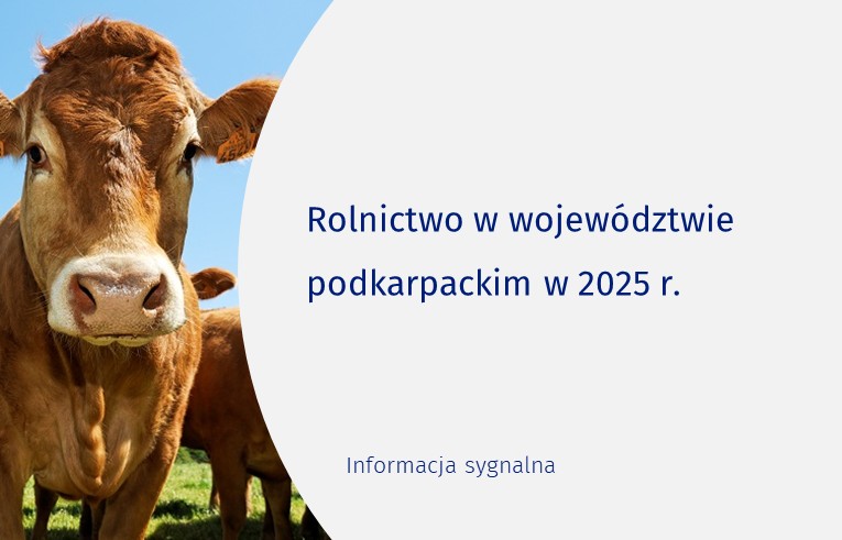 Slajder informacji sygnalnej Rolnictwo w województwie podkarpackim w 2025 r.