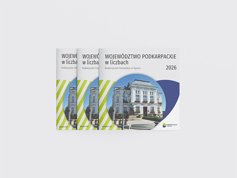 Mockup of folder Podkarpackie voivodship in figures 2026