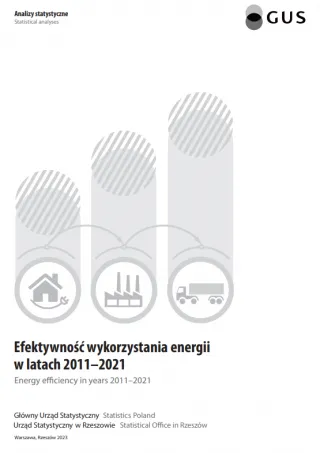 Powiększ obraz: publication's  cover