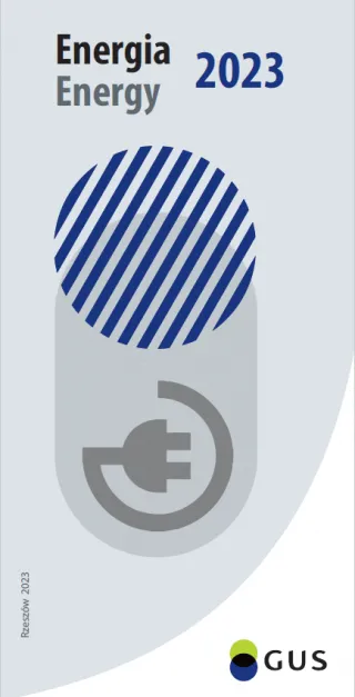 Powiększ obraz: publication's  cover