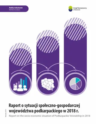 Powiększ obraz: Cover of the publication Report on the socio-economic situation of Podkarpackie Voivodship in 2018